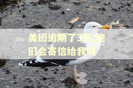 美团逾期了3天,他们会寄信给我吗 美团逾期了3天,他们会寄信给我吗