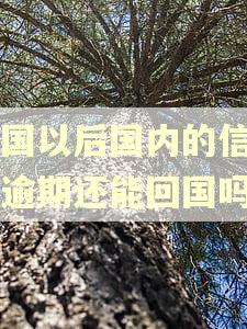 出国以后国内的信用卡逾期还能回国吗