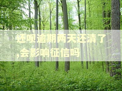 还呗逾期两天还清了,会影响征信吗 还呗逾期两天还清了,会影响征信吗