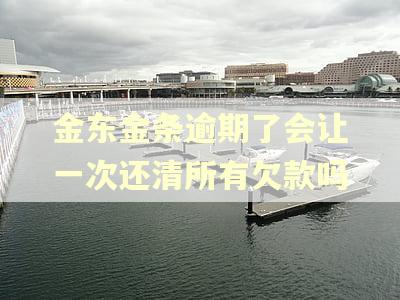 金东金条逾期了会让一次还清所有欠款吗