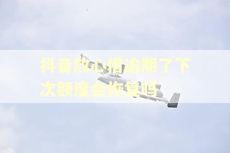抖音放心借逾期了下次额度会恢复吗