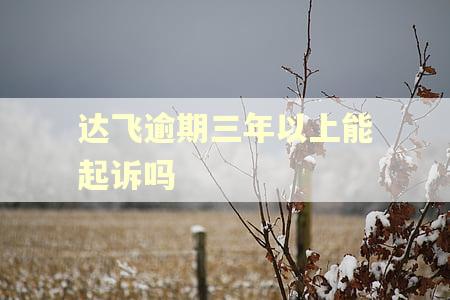 达飞逾期三年以上能起诉吗