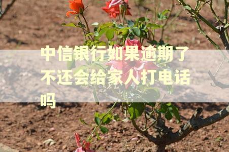 中信银行如果逾期了不还会给家人打电话吗