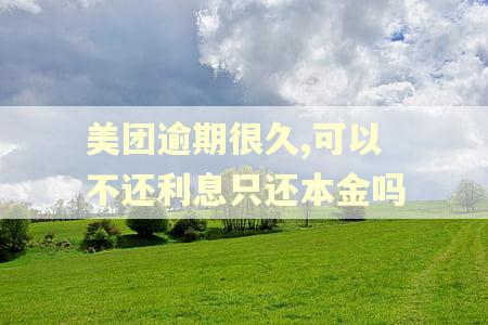 美团逾期很久,可以不还利息只还本金吗