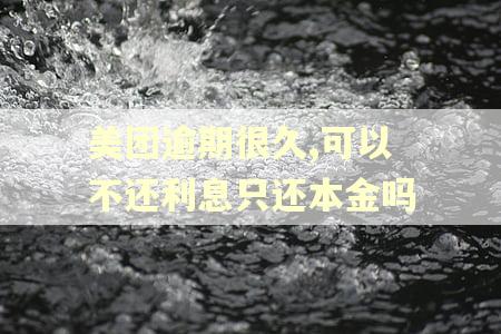 美团逾期很久,可以不还利息只还本金吗