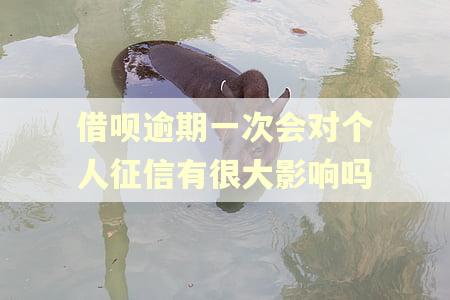 借呗逾期一次会对个人征信有很大影响吗