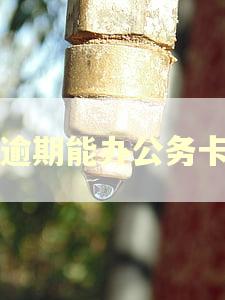 有逾期能办公务卡吗