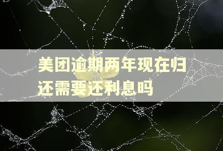 美团逾期两年现在归还需要还利息吗