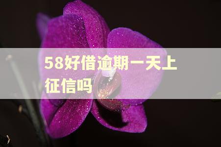 58好借逾期一天上征信吗
