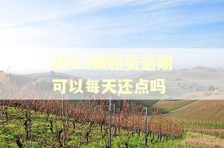 2023微粒贷逾期可以每天还点吗