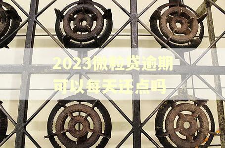 2023微粒贷逾期可以每天还点吗