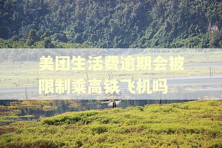 美团生活费逾期会被限制乘高铁飞机吗