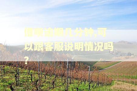 借呗逾期几分钟,可以跟客服说明情况吗?
