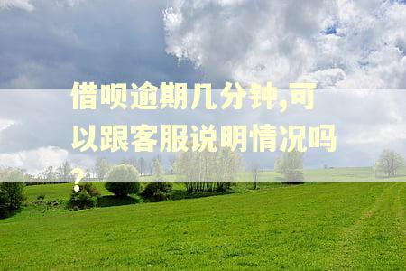 借呗逾期几分钟,可以跟客服说明情况吗?