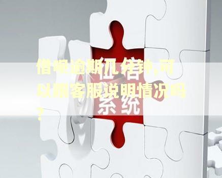 借呗逾期几分钟,可以跟客服说明情况吗?