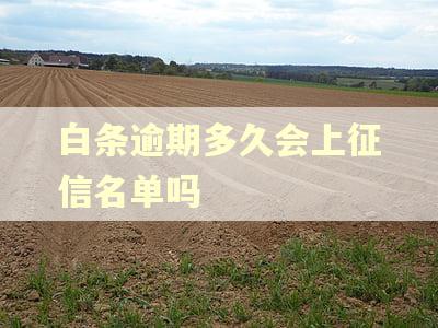 白条逾期多久会上征信名单吗