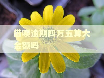 借呗逾期四万五算大金额吗