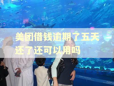 美团借钱逾期了五天还了还可以用吗