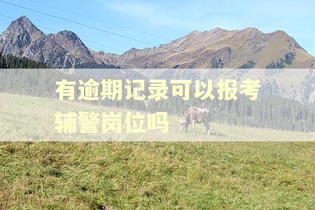 有逾期记录可以报考辅警岗位吗