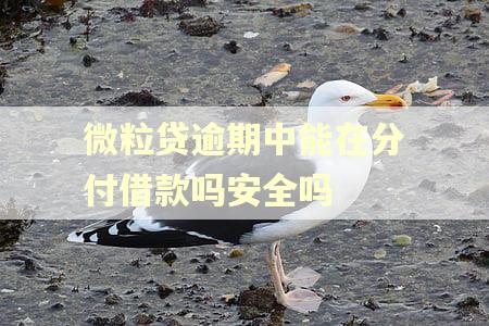 微粒贷逾期中能在分付借款吗安全吗