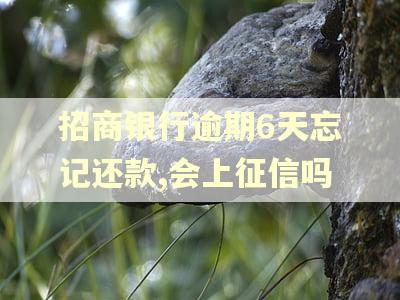 招商银行逾期6天忘记还款,会上征信吗