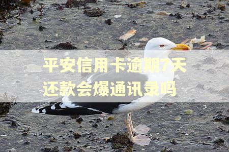 平安信用卡逾期7天还款会爆通讯录吗