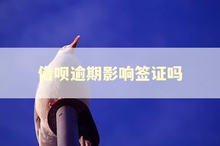 借呗逾期影响签证吗