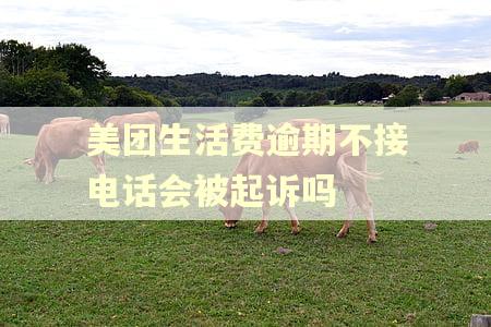 美团生活费逾期不接电话会被起诉吗