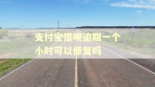 支付宝借呗逾期一个小时可以修复吗