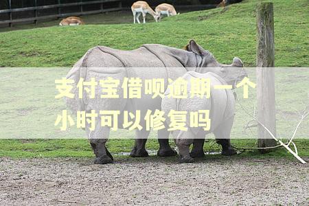 支付宝借呗逾期一个小时可以修复吗