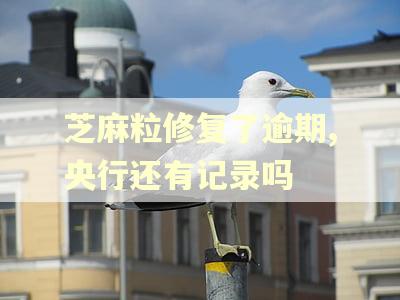 芝麻粒修复了逾期,央行还有记录吗