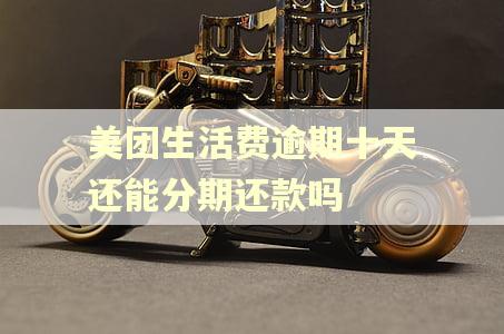 美团生活费逾期十天还能分期还款吗