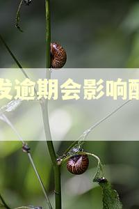 浦发逾期会影响配偶吗