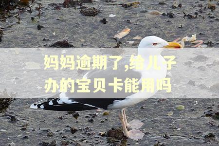 妈妈逾期了,给儿子办的宝贝卡能用吗