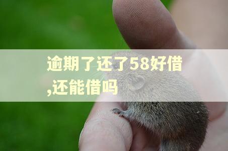 逾期了还了58好借,还能借吗
