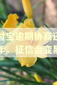 支付宝逾期协商还款两年。征信会变黑吗