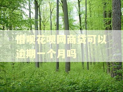 借呗花呗网商贷可以逾期一个月吗