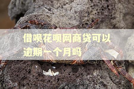 借呗花呗网商贷可以逾期一个月吗 借呗花呗网商贷可以逾期一个月吗