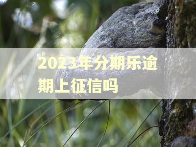 2023年分期乐逾期上征信吗