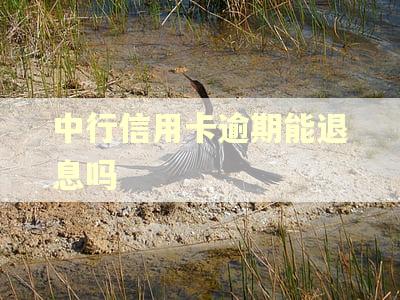中行信用卡逾期能退息吗 中行信用卡逾期能退息吗