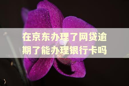 在京东办理了网贷逾期了能办理银行卡吗