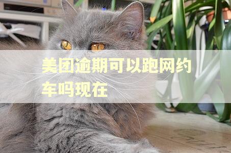 美团逾期可以跑网约车吗现在