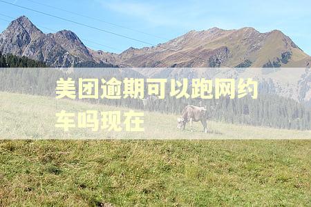 美团逾期可以跑网约车吗现在