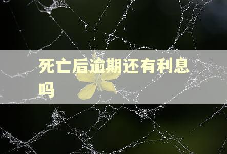 死亡后逾期还有利息吗