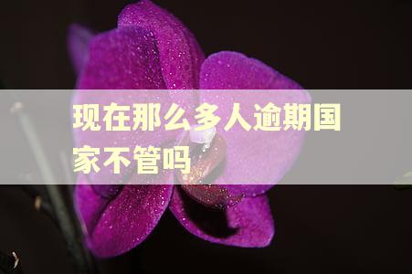 现在那么多人逾期国家不管吗
