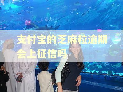 支付宝的芝麻粒逾期会上征信吗