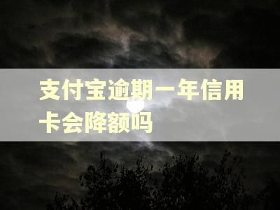 支付宝逾期一年信用卡会降额吗