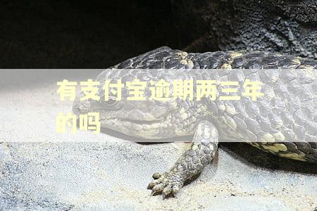 有支付宝逾期两三年的吗