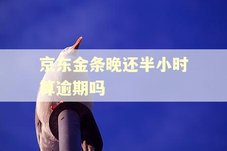 京东金条晚还半小时算逾期吗