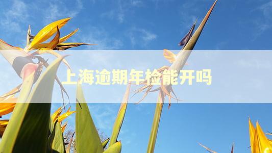 上海逾期年检能开吗